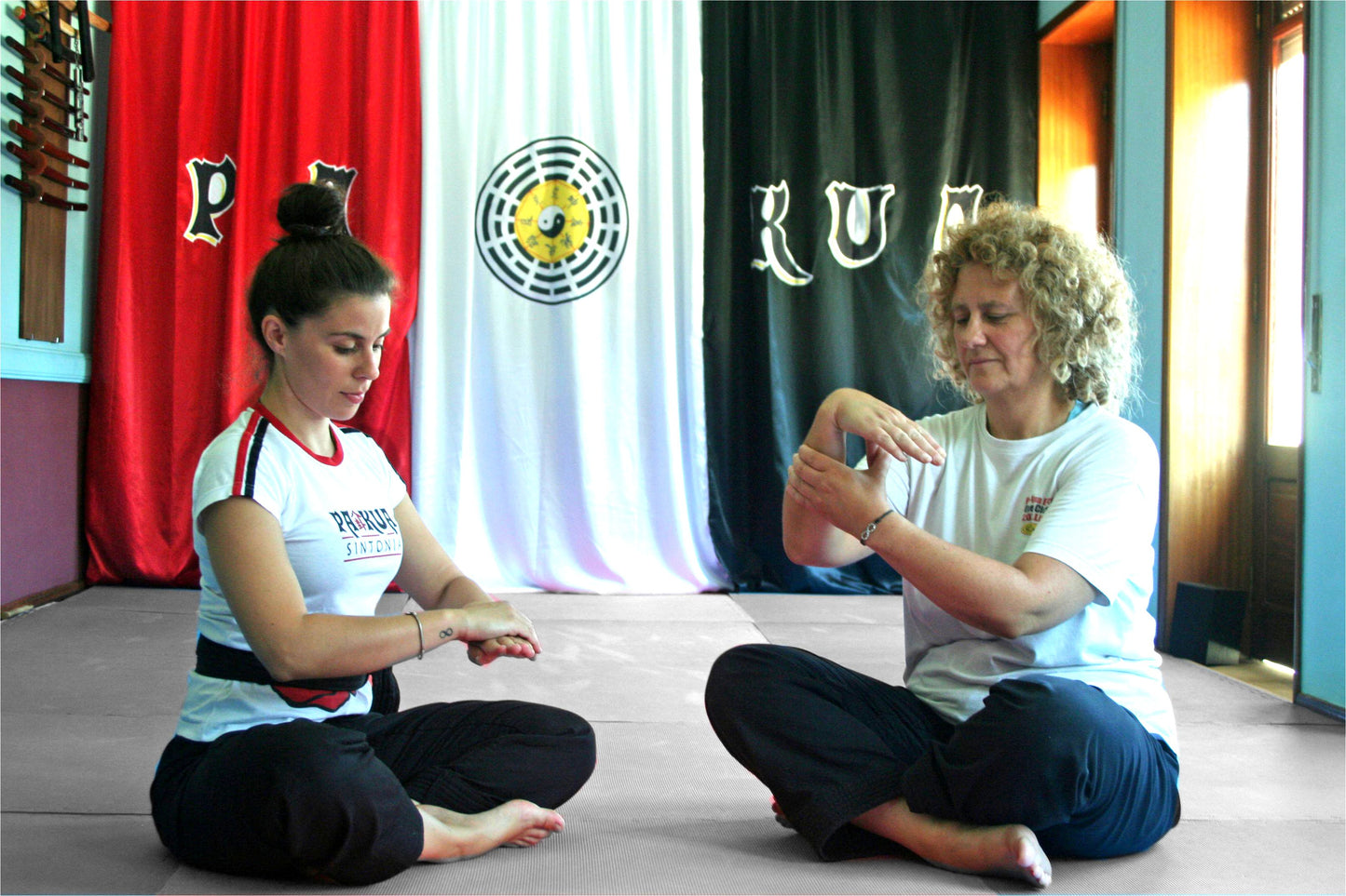 Intensive Seminars Ying